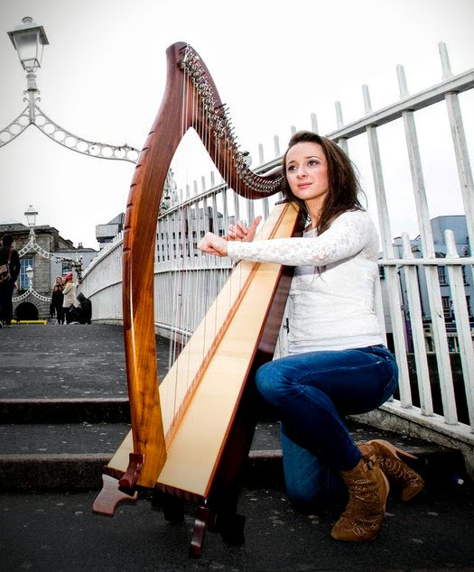        irish harp